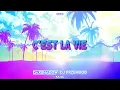 Download Lagu Khaled - C'est la vie (DJ DAXSHADOW \u0026 Dj Przemooo Bootleg)
