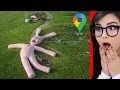 Weird Things Spotted On Google Maps