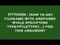 PYTHON How to get filename with argparse while specifying type FileType for this argument