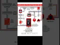 Addressable Fire Alarm System Wiring