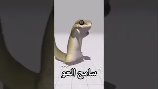 سامح العو دندنها
