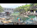Download Lagu अचानक पाणी बंद केल्याच्या नंतर मासे बसले अडकून पकडल्या मोठ्या मोठ्या🦐🦐कोळंबे तर दुसरे मासे🐟आणि🦀खेकडे