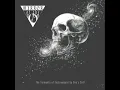 Mirror of the Void - Whispers of the Unseen