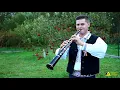Download Lagu Bogdan Crisan si Formatia Art Music   Tarini de pe Aries