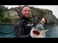 Spearfishing for Yellowtail Kingfish Mercury Islands