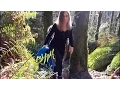 Hiking Squak Mountain Cascade Mountains