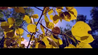 the legend of the craftsman manole