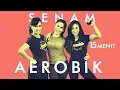 Download Lagu Yuk Membakar Lemak Dengan Senam Aerobik 15 Menit | Senam Membakar Lemak