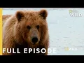 Grizzly Battleground Full Episode Alaska s Deadliest