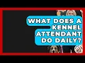 What Does A Kennel Attendant Do Daily - Animal Care Jobs