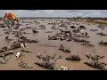 THE GREAT MIGRATION – The Planet’s Greatest Struggle for Survival #wildanimals | Wild Animals