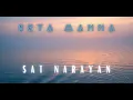 Sat Narayan: Song for the Waters