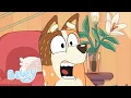 Download Lagu The 'Why?' Game 🤔 | Season 2 Highlight - Sticky Gecko | Bluey