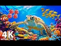 Download Lagu The Ocean 4K - Coral Reefs \u0026 Colorful Sea Life - Relaxing Music for Focus \u0026 Sleep #6