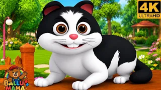 Meow Meow Billi Kerti Meow | म्याऊँ म्याऊँ बिल्ली करती म्याऊँ | Hindi Rhyme | Nursery Rhyme for Kids