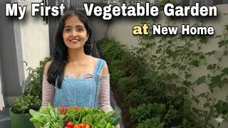 I Tried Vegetable Gardening at Our New Home for the First Time I Dhara Patel