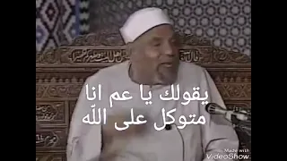 الشيخ الشعراوى التوكل على الل ه عمر و فريدة 