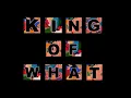 Download Lagu Bboy Mixtape | Dj Fleg - KING OF WHAT MIXTAPE | bboy music