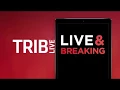 TribLIVE - News More