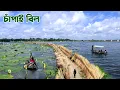 Download Lagu ফরিদপুরের রনকাইল গ্রামের চাঁপাই বিল || Panorama Documentary
