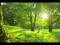 Download Lagu Relaxing music / Pachelbel - Canon in D / 1 Hour / Guitar