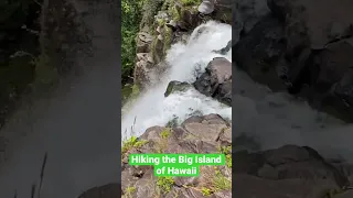 Hiking the Big Island of Hawaii. So many waterfalls. #hike #hiking #adventure #hawaii #travel