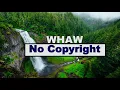 Download Lagu Ikson - Paradise (Vlog No Copyright Music)