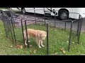 Jhsomdr Dog Playpen Outdoor Dog Fence Outdoor for Yard 40 Inch 14 Panels Dog Pens Outside Anti Rust