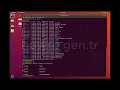 Linux Diff Colordiff Command Usage Colorized