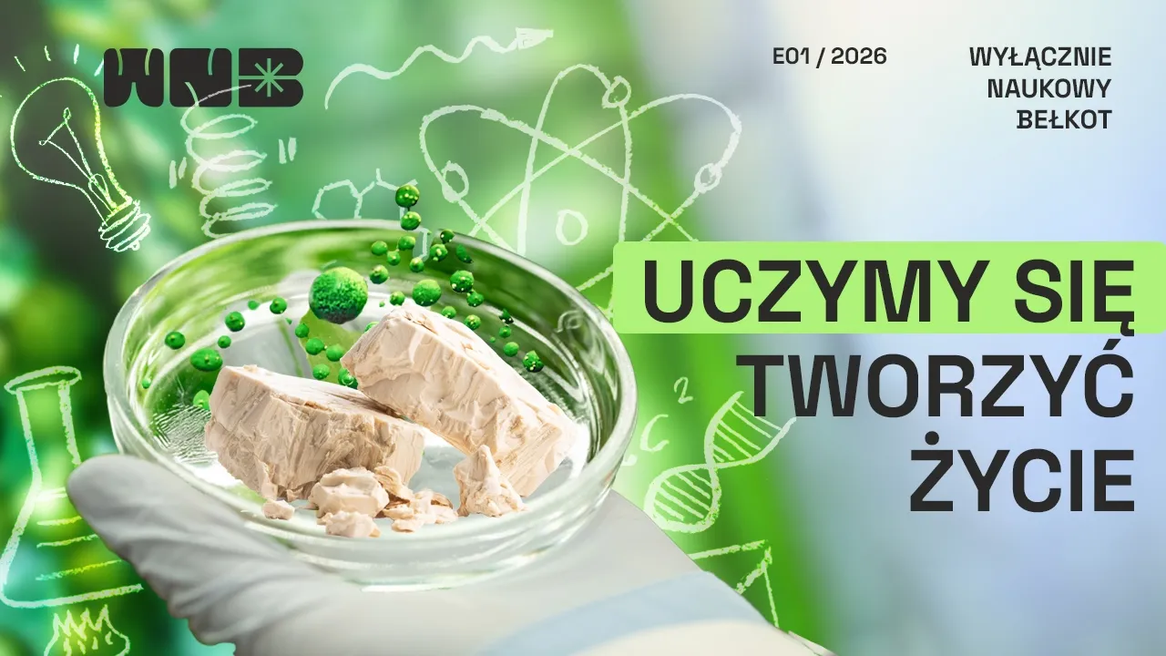 Uczymy się tworzyć życie