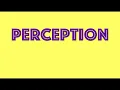 Perception Definition Factors Process Organisational Behaviour