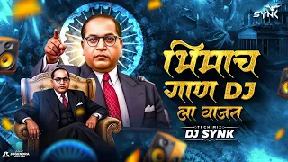 bhimacha gaan dj la vajta tech mix bhimjayati 2025 dj song dj synk bhim jayanti song