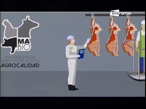 Mabio Logotipo que certifica inocuidad de la carne en Ecuador