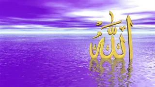عبدالله المهداوي توكلت على الله رازقي دندنها