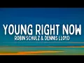 Download Lagu Robin Schulz \u0026 Dennis Lloyd - Young Right Now (Lyrics)