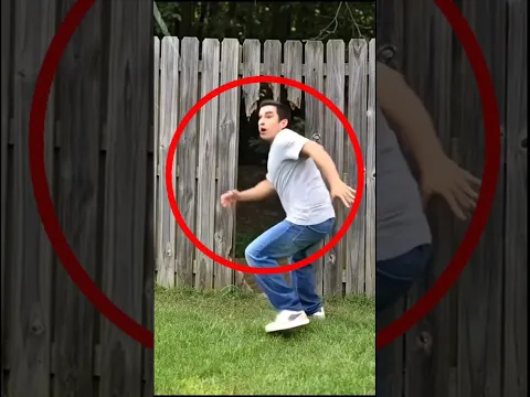 Lo que descubrió dentro de ese hoyo lo dejó en completo pánico.