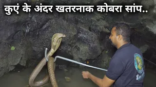 ऐसा खतरनाक वीडियो आपने नहीं देखा होगा.। Rescued four snakes that fell into the well