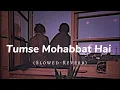 Download Lagu Tumse Mohabbat Hai Slowed-Reverb || Lofi Song ||
