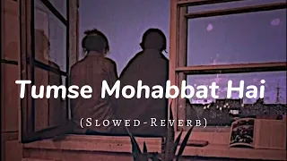 Download Tumse Mohabbat Hai Slowed-Reverb || Lofi Song || MP3