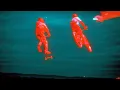 Innellea, Peces Raros - Parte del Juego