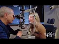 Berkeley Eye Center LASIK Testimonials - Jessica Powers and Terra Torres