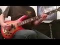 Lagu Lake - 'Celebrate' Bass Cover - Heiko Effertz - Spector