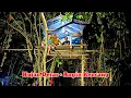 Download Lagu diguyur hujan deras, bermalam di atas rumah pohon yang hangat, relaxing rain sound