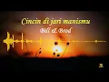 Download Lagu Bill \u0026 Brod - Cincin di Jari Manismu