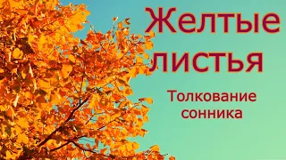 Желтые листья толкование сонника 