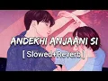 Download Lagu Andekhi Anjaani Si [Slowed+Reverb] - Lata Mangeshkar,Udit Narayan | Lofi Song | Textaudio