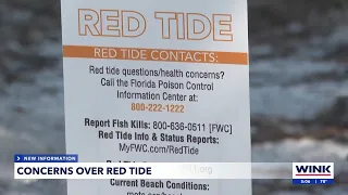 Sanibel residents alarmed by red tide s impact on local beaches