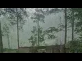 AT THE DEER LEASE EAST TEXAS