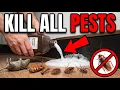 How To Utilize Hydrogen Peroxide To Kill Roaches Ants Bedbugs Fleas Mice 20 Different Pests
