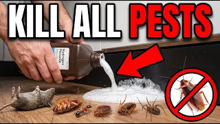 How To Utilize Hydrogen Peroxide To Kill Roaches Ants Bedbugs Fleas Mice 20 Different Pests